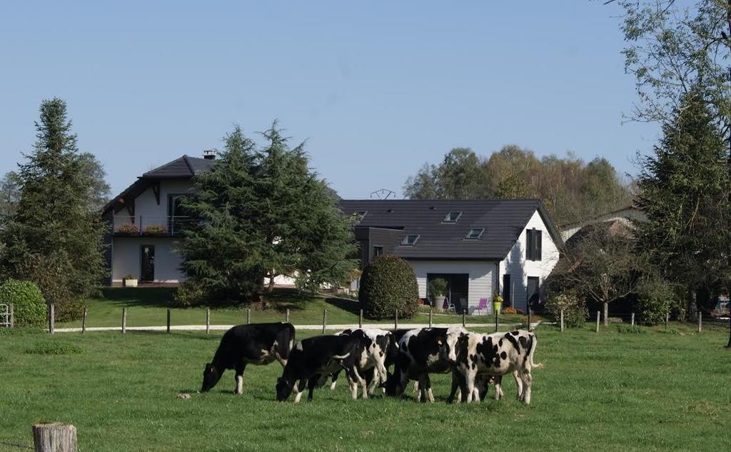 Bed and Breakfast La Noue Aubain Corbenay Exteriér fotografie